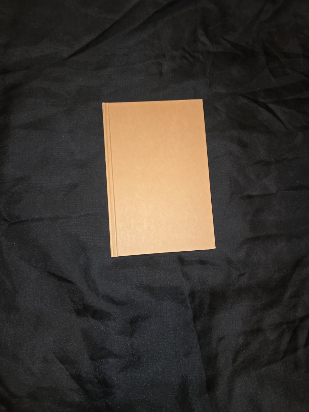 Cruel Shoes By Steve Martin Hardcover